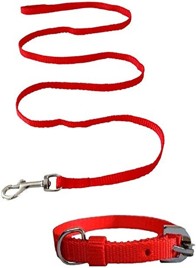 Improvhome Nylon Red Leash With Collar Set For Dogs - Medium - Image 2